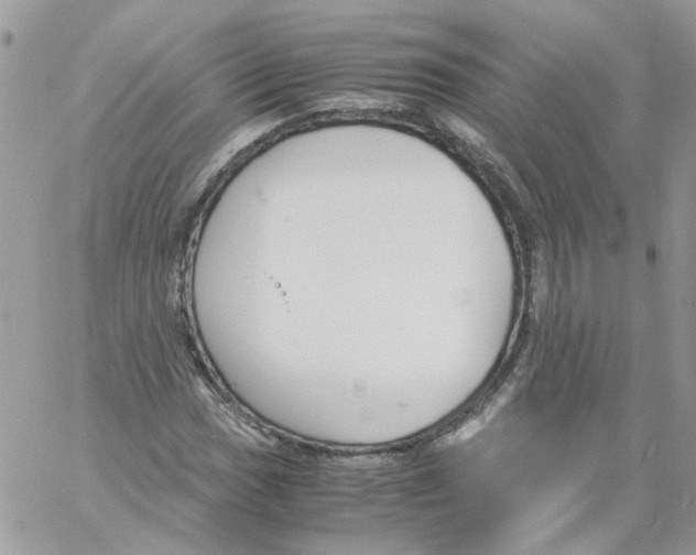 X0000061721017200512302114