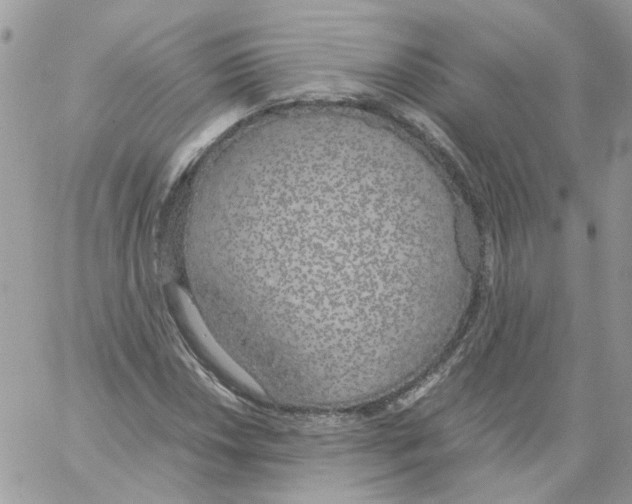 X0000061721018200512302114