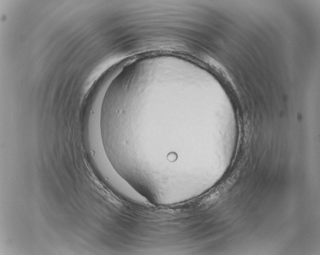 X0000061721019200512302114