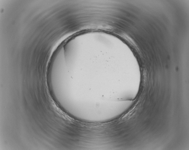 X0000061721020200512302114