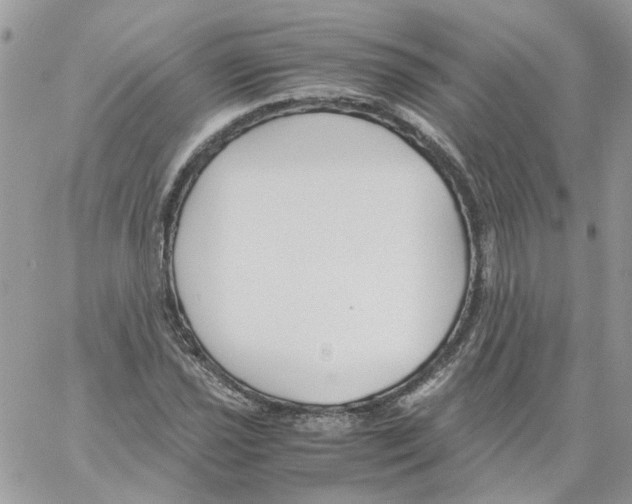 X0000061721021200512302114