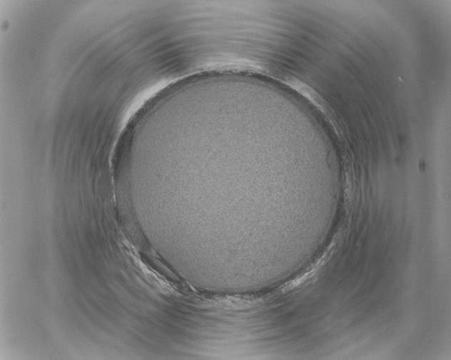 X0000061721022200512302114