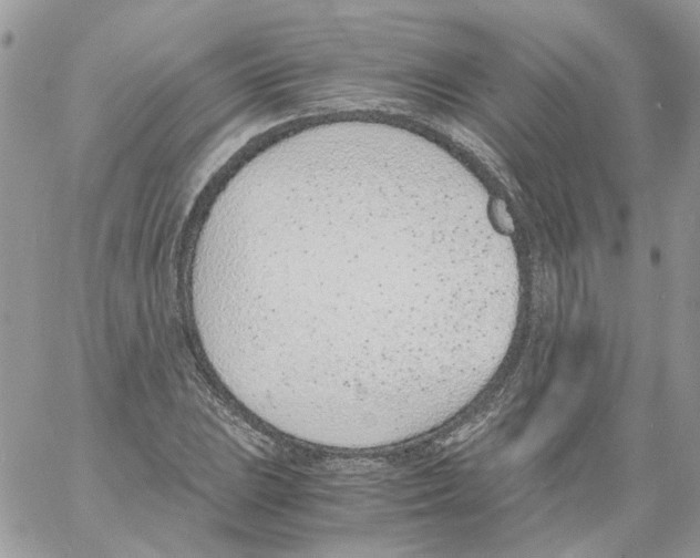 X0000061721023200512302114