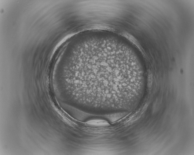 X0000061721024200512302114