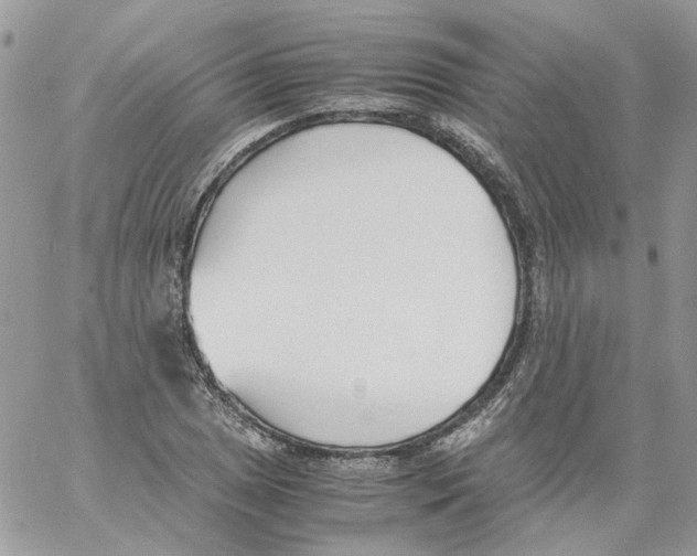 X0000061721025200512302114