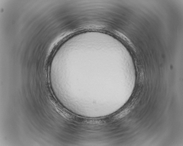 X0000061721027200512302114