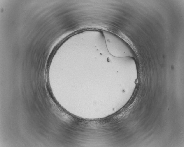 X0000061721028200512302114