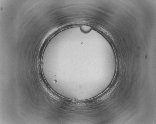 X0000061721029200512302114