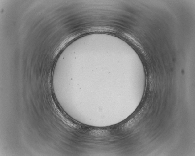 X0000061721033200512302114