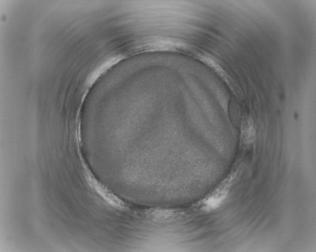 X0000061721034200512302114