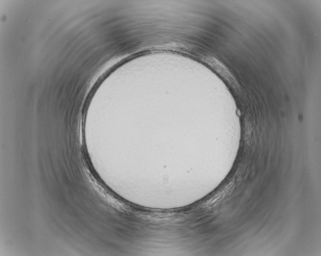 X0000061721036200512302114