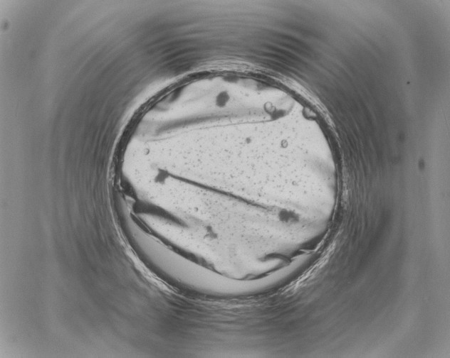 X0000061721037200512302114