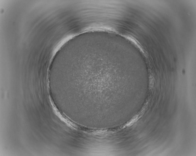 X0000061721038200512302114