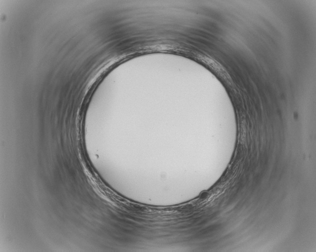 X0000061721039200512302114