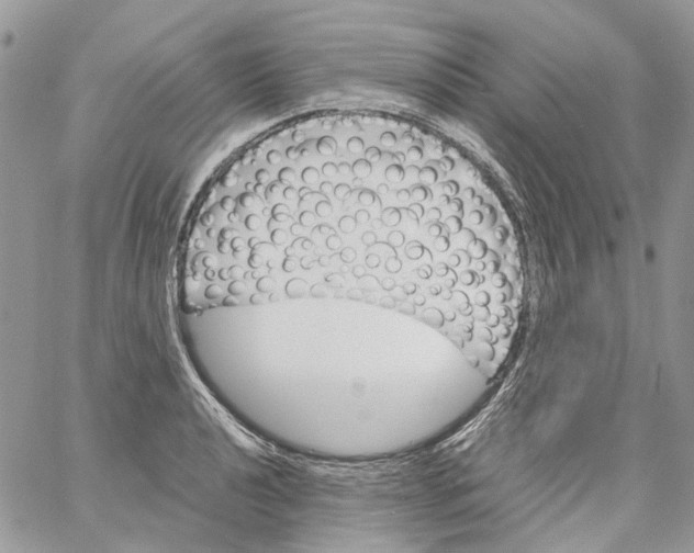 X0000061721040200512302114