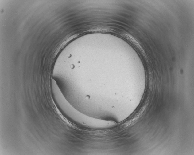 X0000061721041200512302114