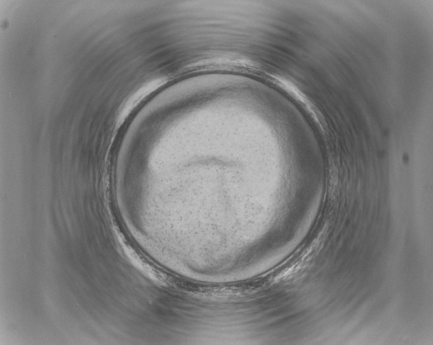 X0000061721042200512302114