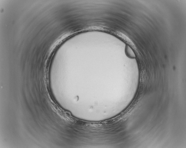 X0000061721043200512302114