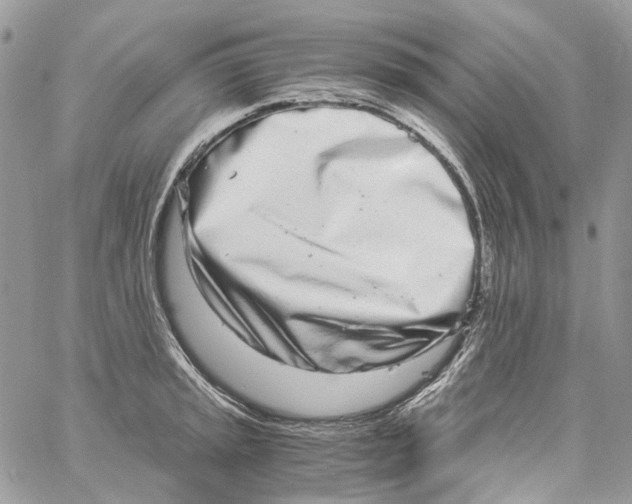 X0000061721045200512302115