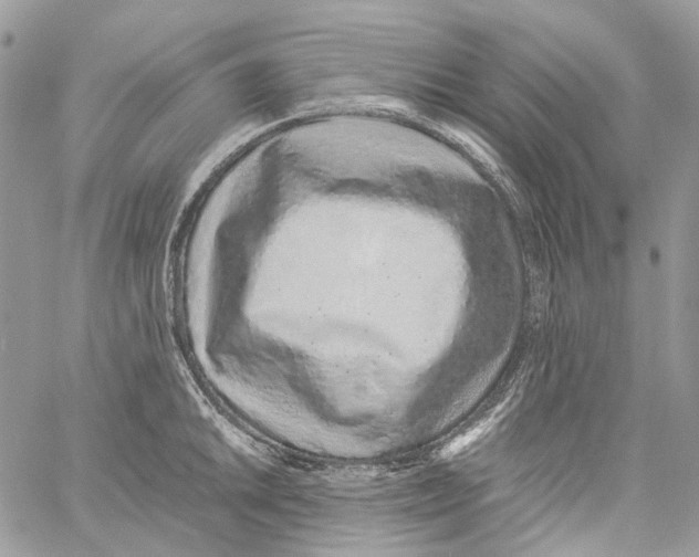 X0000061721046200512302115