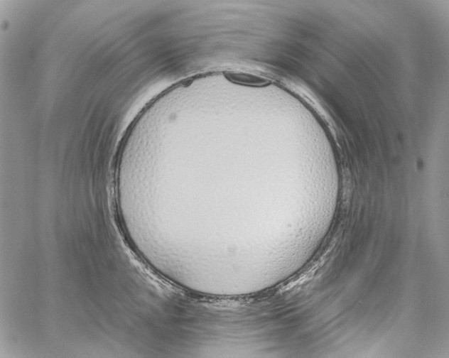 X0000061721048200512302115