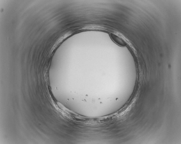 X0000061721049200512302115