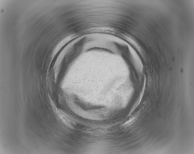 X0000061721050200512302115