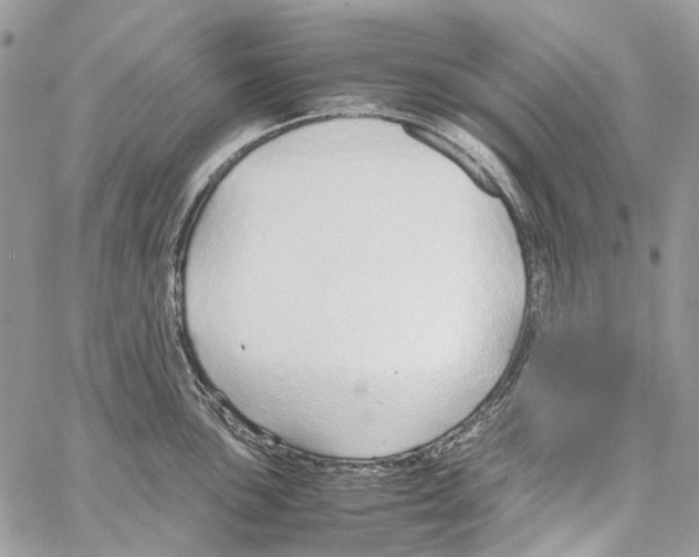 X0000061721051200512302115