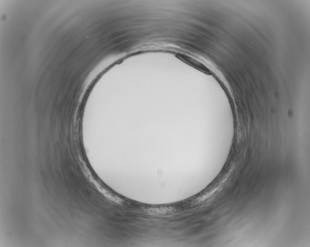 X0000061721053200512302115