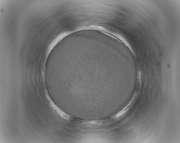 X0000061721054200512302115