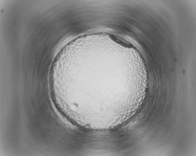 X0000061721055200512302115