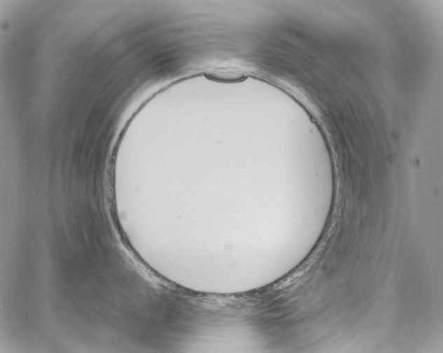 X0000061721056200512302115