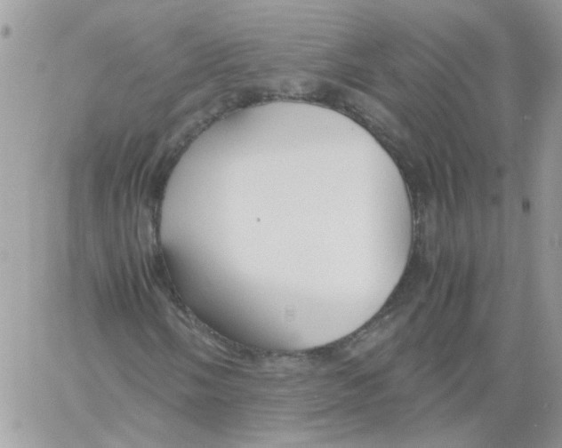 X0000061721058200512302114