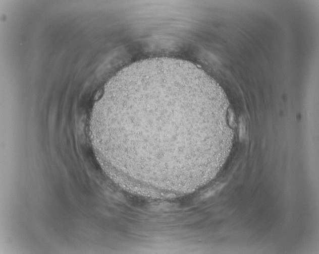 X0000061721059200512302114