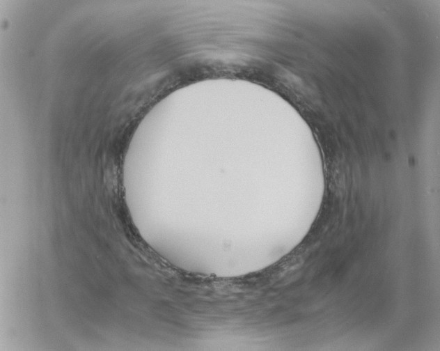 X0000061721061200512302114