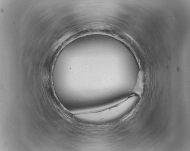 X0000061721065200512302114