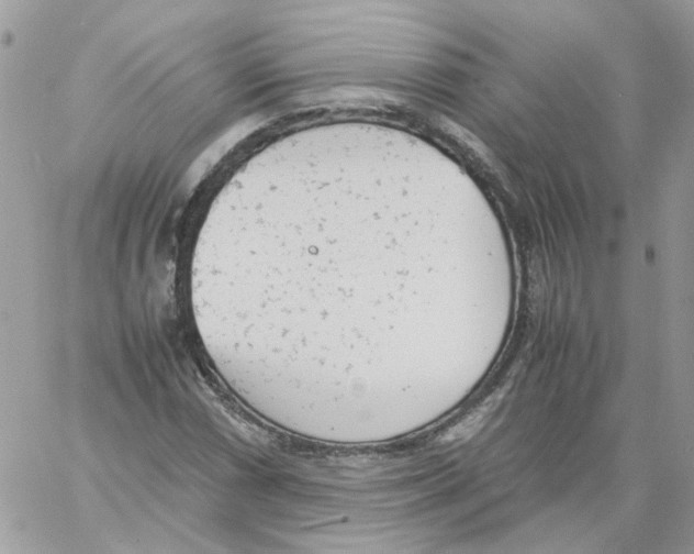 X0000061721066200512302114