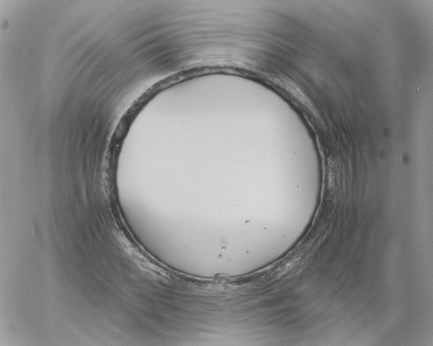 X0000061721068200512302114