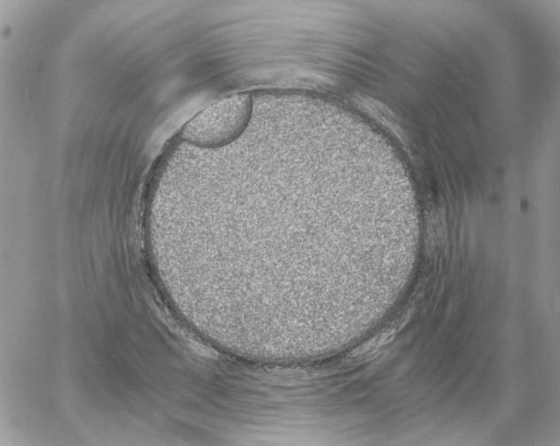 X0000061721071200512302114