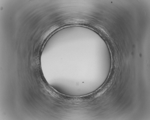 X0000061721073200512302114