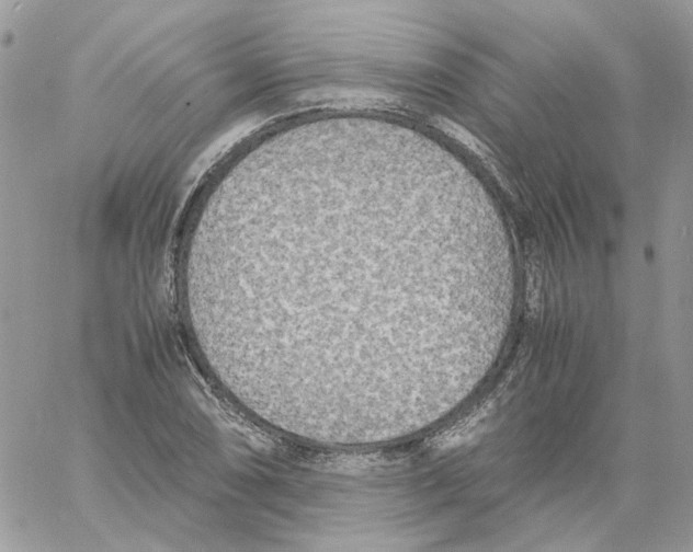 X0000061721074200512302114