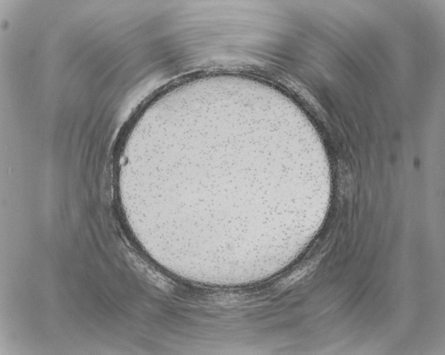 X0000061721075200512302114