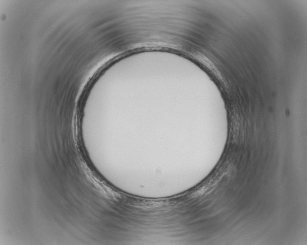 X0000061721076200512302114