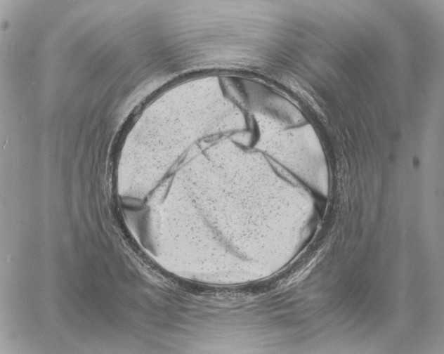 X0000061721077200512302114