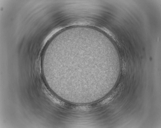 X0000061721078200512302114