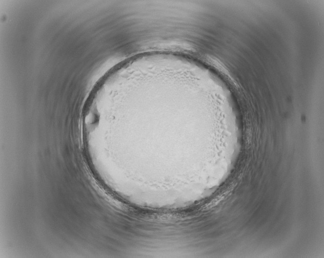 X0000061721079200512302114