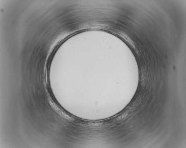 X0000061721080200512302114