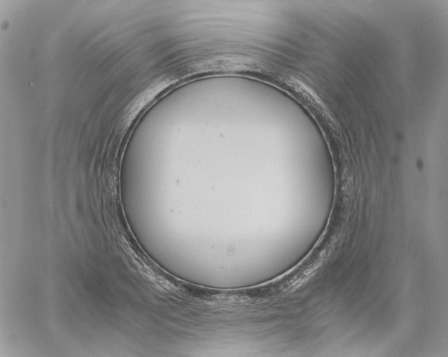 X0000061721081200512302114