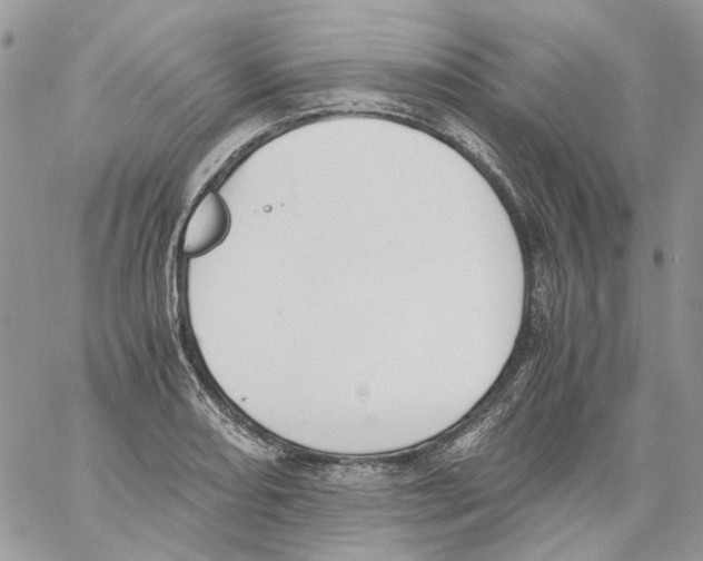 X0000061721082200512302113