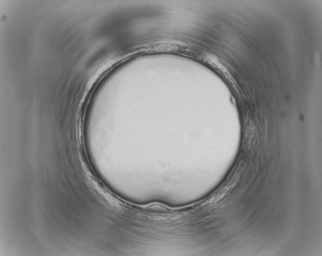 X0000061721083200512302113